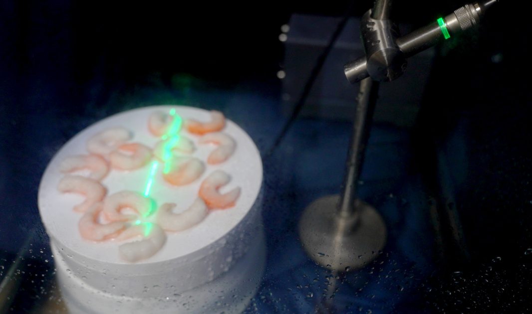 Photon PRO Shrimps Industrial Plant