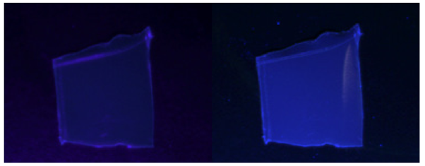 PET sample under 385nm LED light (left) and under 285nm LED light (right)